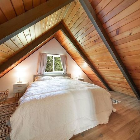 R & R Chalet At Mt. Rainier Ashford Bagian luar foto