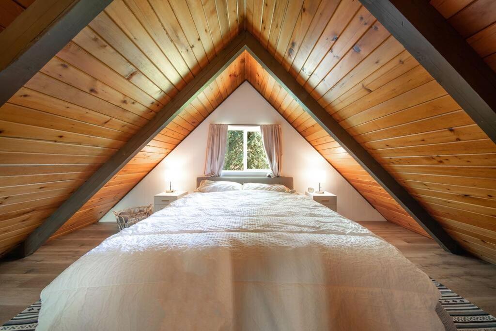R & R Chalet At Mt. Rainier Ashford Bagian luar foto